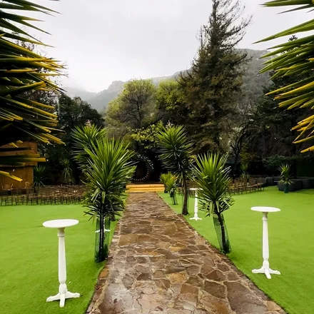 Jardín de KO Eventos, con un camino de piedra entre palmeras